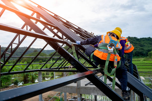 Best Storm Damage Roof Repair  in Chester, IL