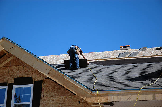 Best Roof Gutter Cleaning  in Chester, IL
