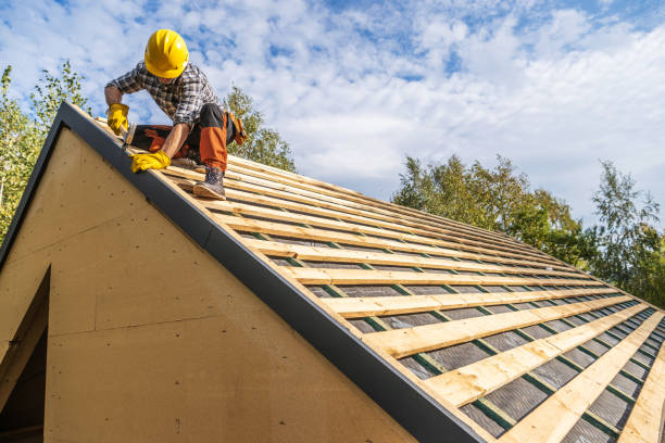 Best Storm Damage Roof Repair  in Chester, IL